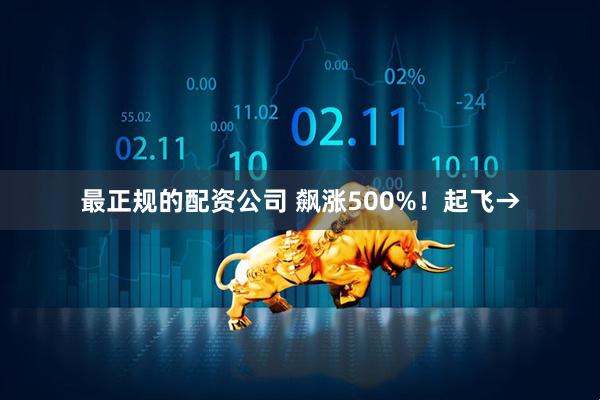 最正规的配资公司 飙涨500%！起飞→