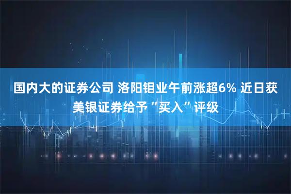 国内大的证券公司 洛阳钼业午前涨超6% 近日获美银证券给予“买入”评级